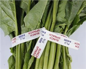 Cravatta twist in carta vegetale fresca da giardino